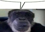 TalkingMonkey emote