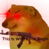 cheems_thisiswherethefunbegin2 emote