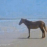horsemen static emote