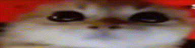 RAGEY animated emote