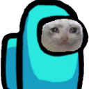 amongus_kitty emote