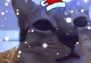 aga animated emote