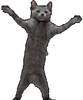 fastcatdance emote