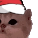 kittyJam emote