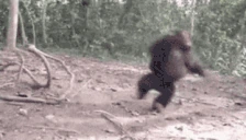 wukong emote