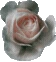 RoseClassic emote