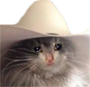 CE_SadCowboy emote