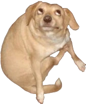 dog_meme emote