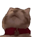 catTasty emote