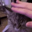 PatPatPat emote
