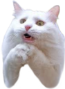 plscat static emote