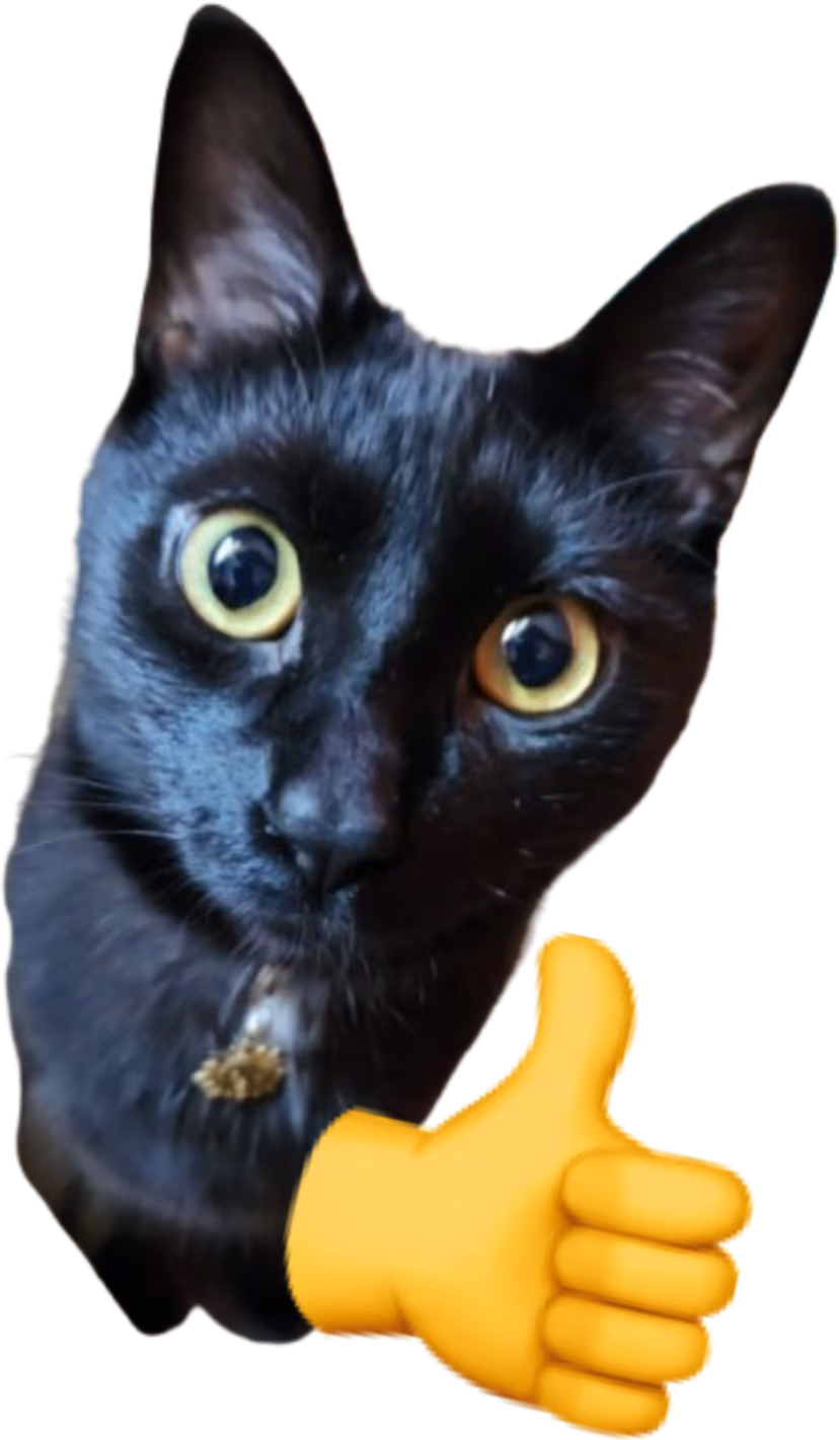 thumbs_up emote