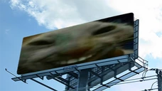 xddBillboard emote