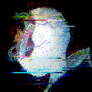 soran2202 avatar