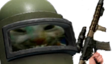 xddSBEU emote