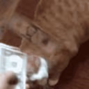 CE_makeitrain emote