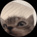 PedroCat