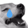 dogekekcry2 emoji