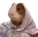 comfy emote