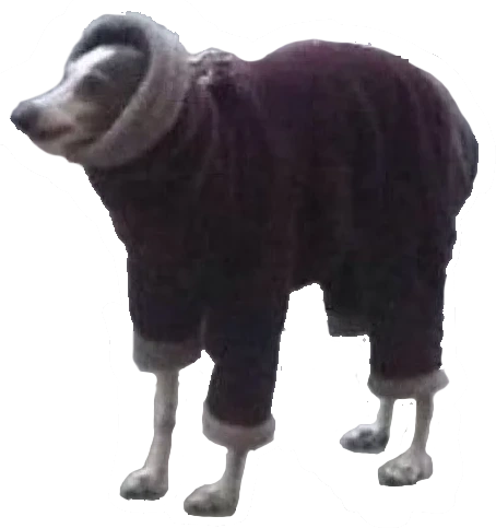 scrungus emote