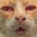 CatNip static emote