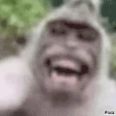 LOCKIN emote