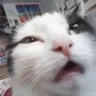 whaaaa emote