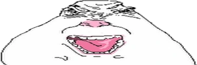angy emote