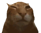 buh emote