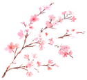 CherryBlossomBranch emote