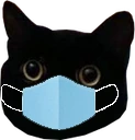 catmask emote