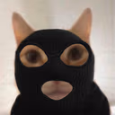 catNapper emote