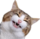 catsmile2 emote
