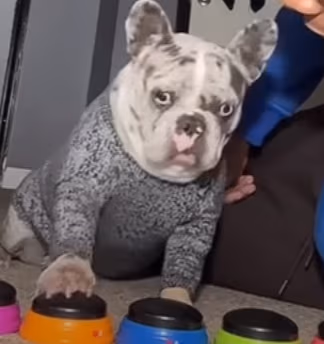 HellNah emote