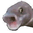 smile4me emote