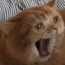 CE_SCREAMMMMMM2 emote
