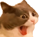 AHHHHHHHHHHHH emote