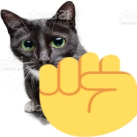 raisefistcat emote