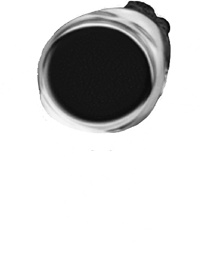 NianticMoment emoji