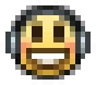 DJ emoji