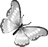 grey_butterfly animated emote