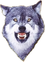 alphawolf emote