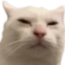Stank emoji