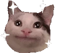 SparkleCat emote