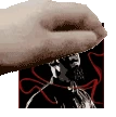 skitpet emote