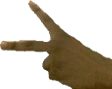 Peaceout emote