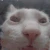 CatInsanity emote