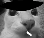 dosecatOppenheimer emote