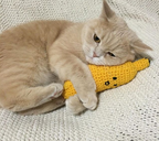 bananuszek