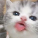 blehhh emote